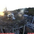 20_45-nest.jpg