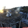 20_55-nest.jpg