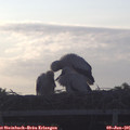06_00-mast.jpg