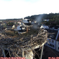 06_15-nest.jpg