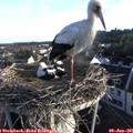 06_40-nest.jpg