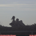 07_55-mast.jpg