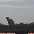 08_05-mast.jpg