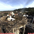 08_05-nest.jpg