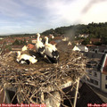 09_35-nest.jpg