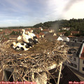 09_40-nest.jpg