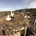 09_55-nest.jpg