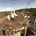 10_05-nest.jpg