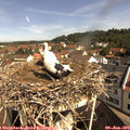 10_15-nest.jpg