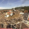 11_45-nest.jpg