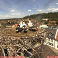 12_30-nest.jpg