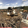 13_20-nest.jpg
