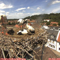 13_25-nest.jpg