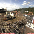 14_15-nest.jpg