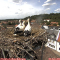 14_30-nest.jpg