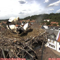 14_35-nest.jpg
