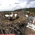 14_40-nest.jpg