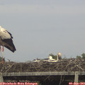 18_10-mast.jpg