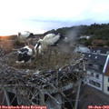 21_05-nest.jpg