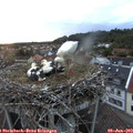 21_10-nest.jpg
