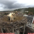 05_30-nest.jpg