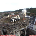 07_25-nest.jpg