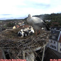07_30-nest.jpg