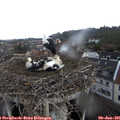 09_05-nest.jpg