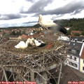 12_25-nest.jpg
