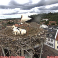 13_05-nest.jpg