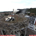 13_25-nest.jpg
