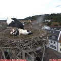 13_35-nest.jpg