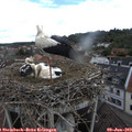 14_10-nest.jpg