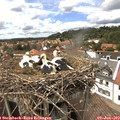 14_55-nest.jpg