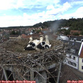 15_55-nest.jpg