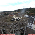 16_00-nest.jpg