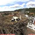 16_05-nest.jpg