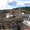 16_30-nest.jpg