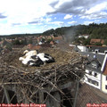 16_35-nest.jpg