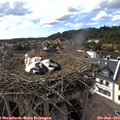 16_40-nest.jpg