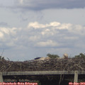 18_40-mast.jpg