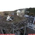20_45-nest.jpg