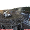 20_50-nest.jpg