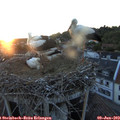 21_15-nest.jpg