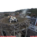 05_55-nest.jpg