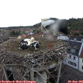 06_10-nest.jpg