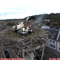 07_20-nest.jpg