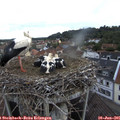 07_25-nest.jpg