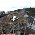 07_30-nest.jpg