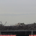 11_00-mast.jpg
